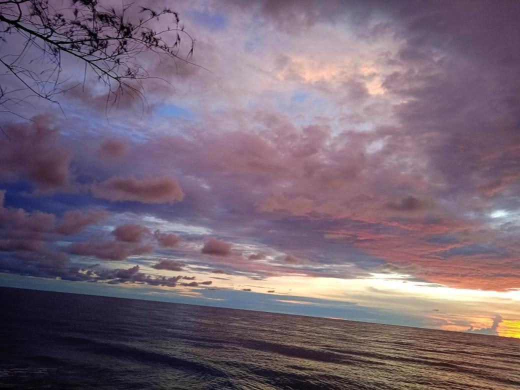 Enocean Homestay Cherai Beach Bagian luar foto