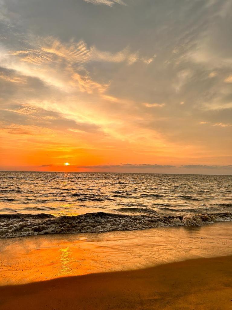 Enocean Homestay Cherai Beach Bagian luar foto
